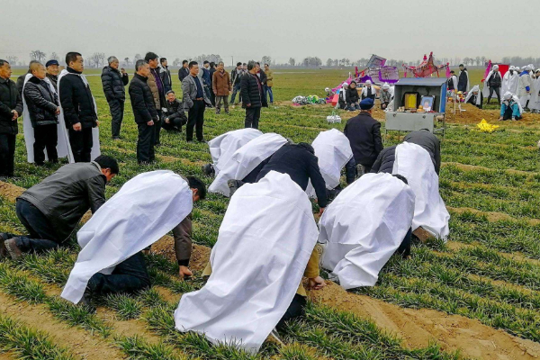 【太原公墓】如何在仪式中安排环节既能体现庄重又能符合派对氛围？